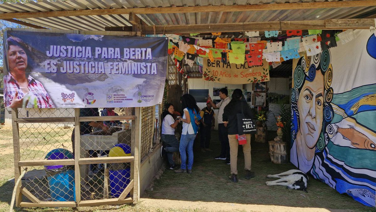 IM-Defensoras tweet media