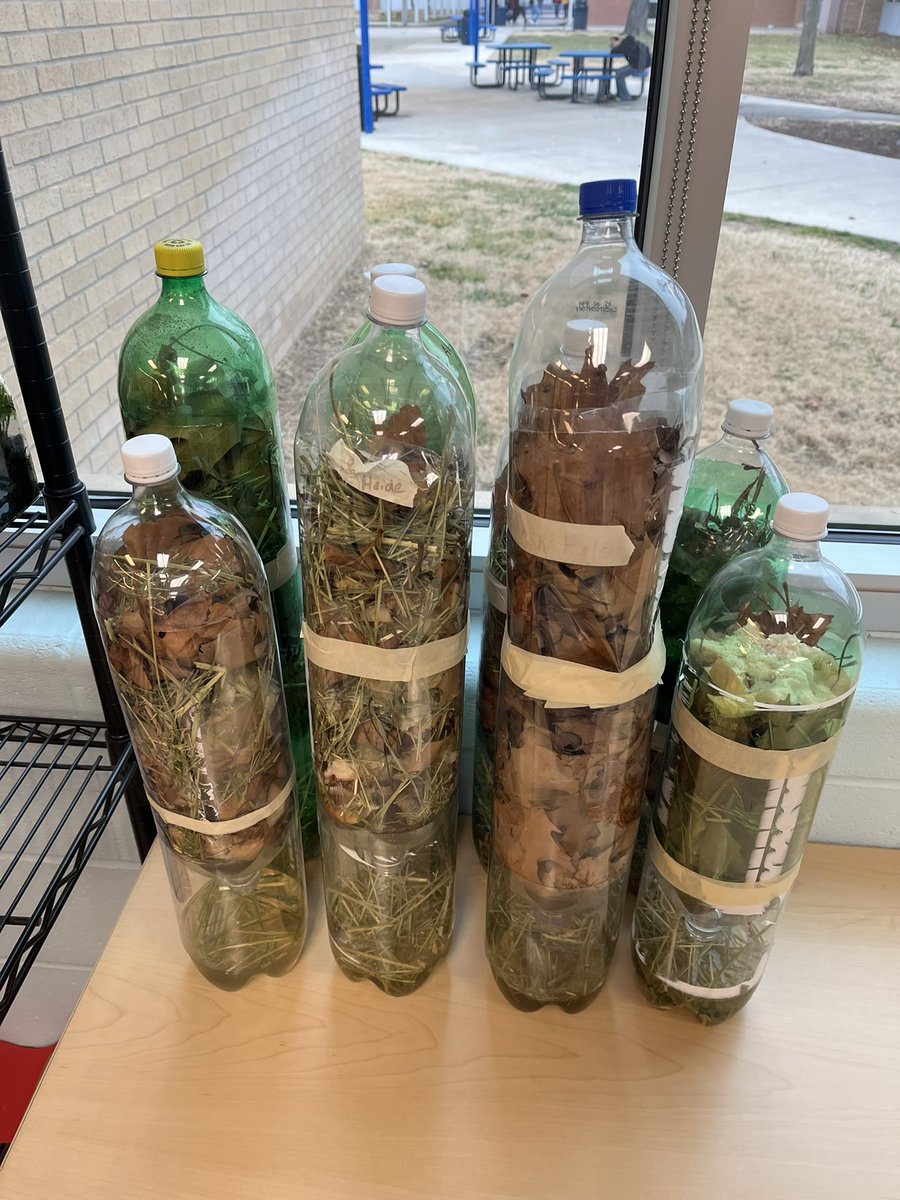 Mr. McCandless tweet media