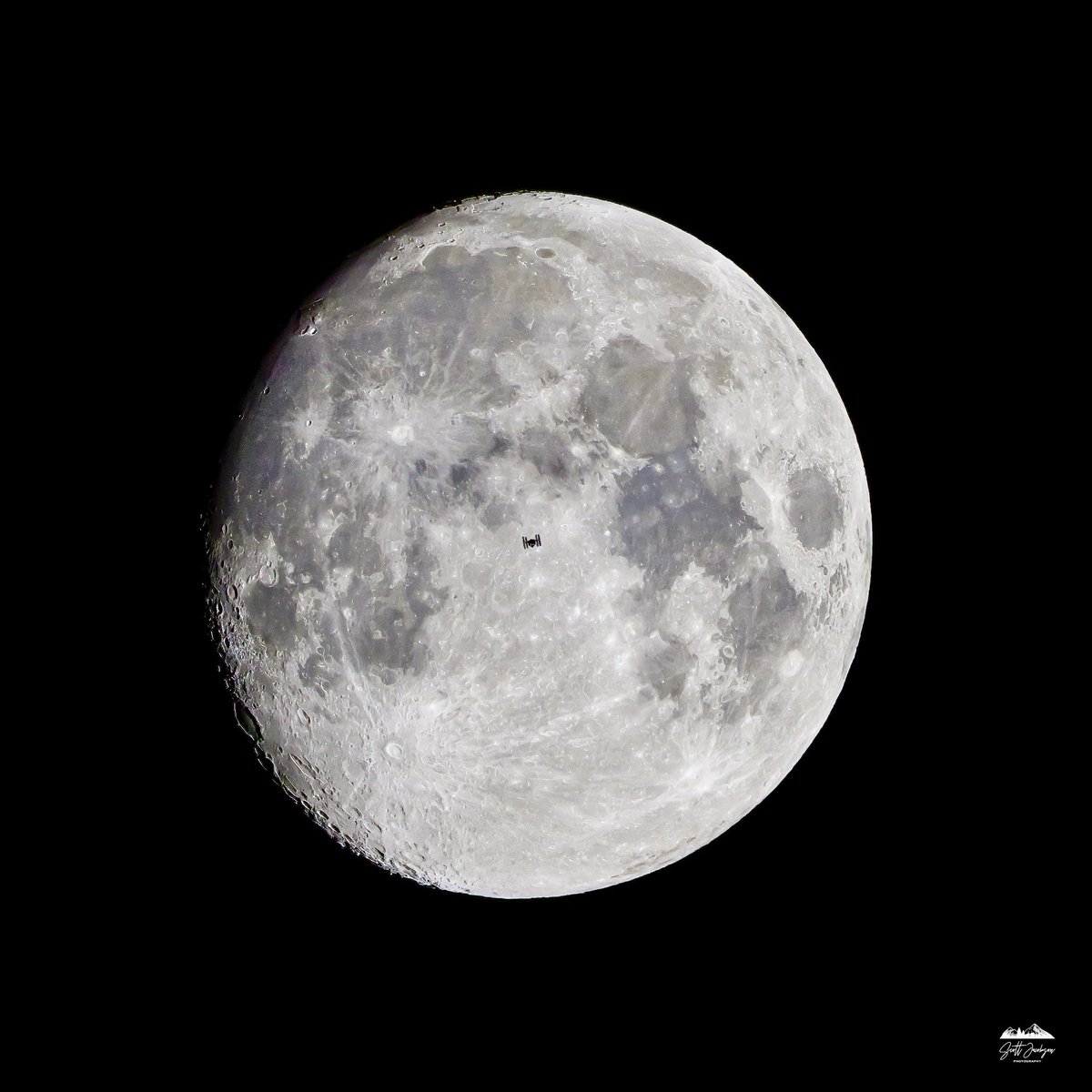 Scott Jacobson tweet media