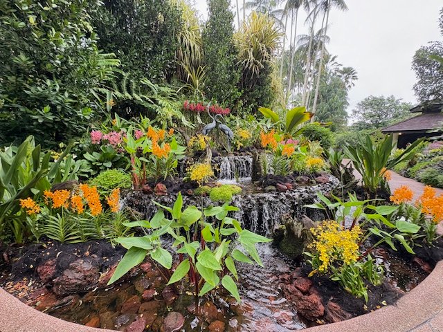 Michael Levy tweet media