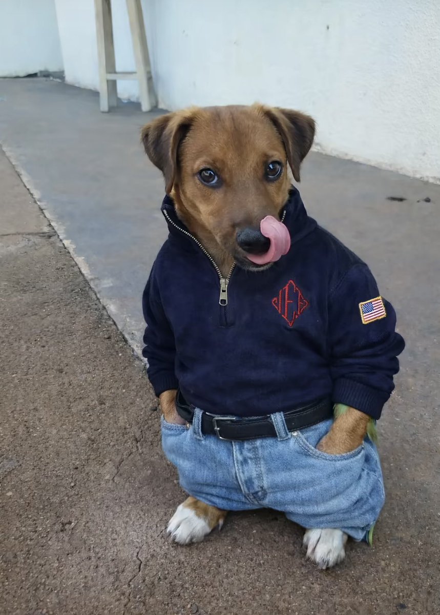 Sxntosfv! tweet media