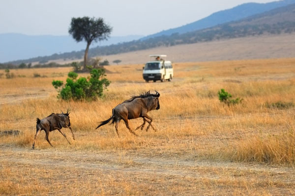 USask Alumni tweet media