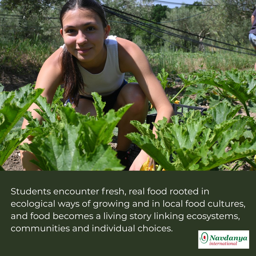 Navdanya International tweet media