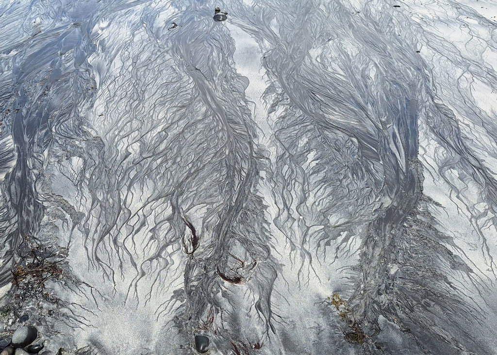 opnmagazine tweet media