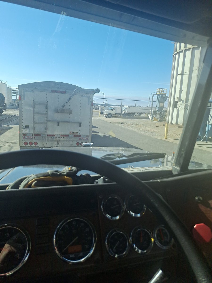 Brian Scott tweet media