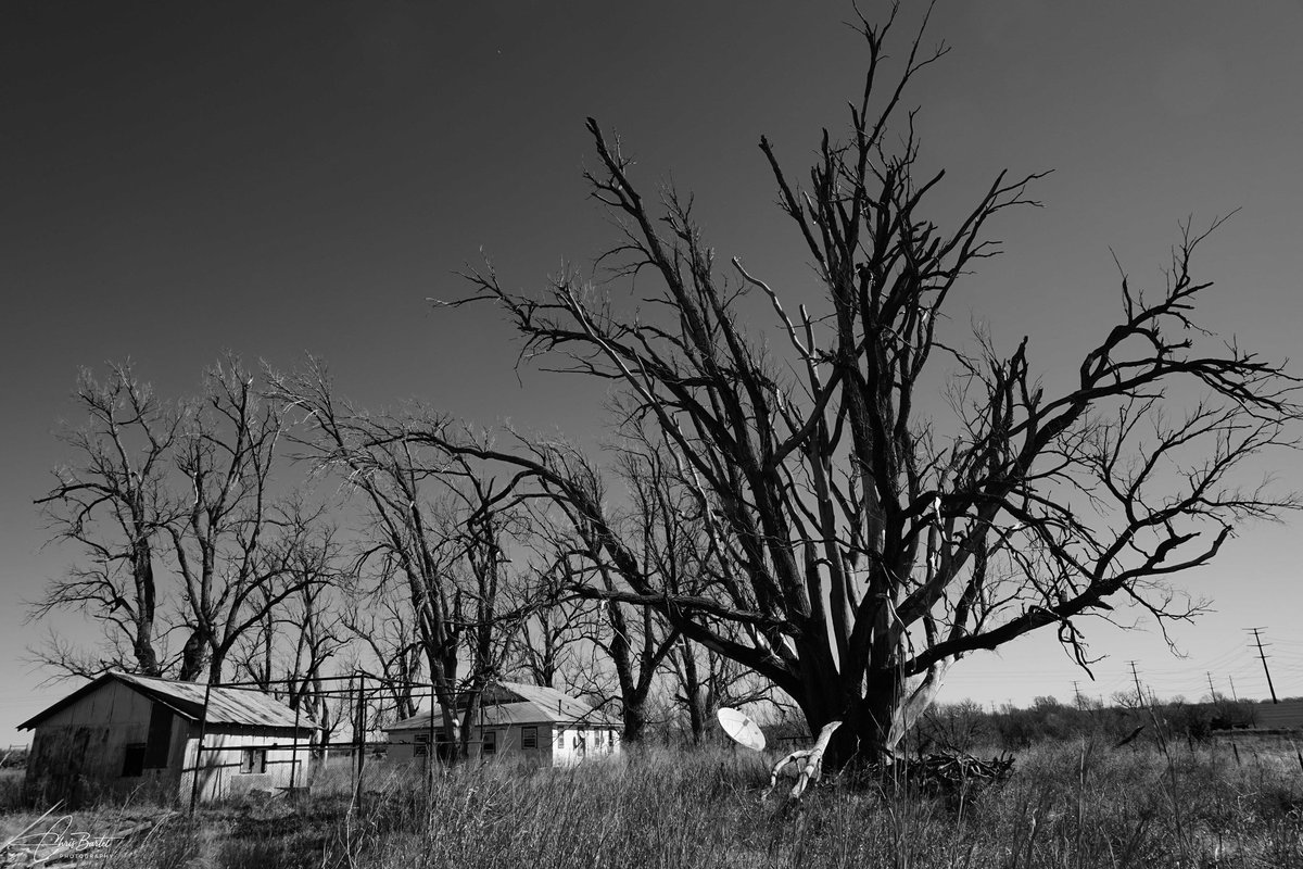 Chris Bartel tweet media