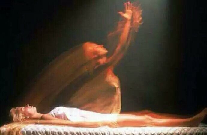 サメ_kb tweet media