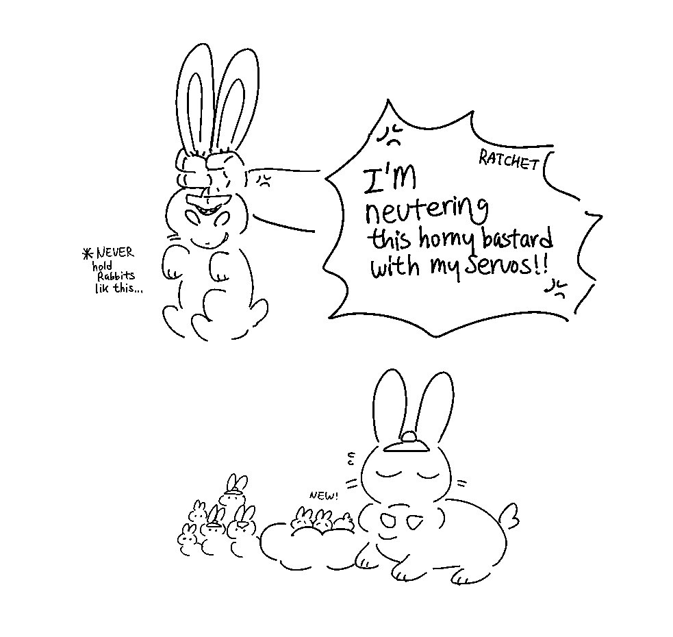 햄 HAM🐹 tweet media