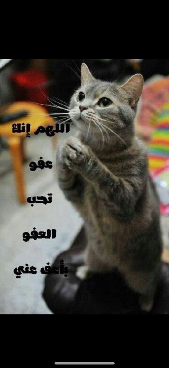 غبشان tweet media