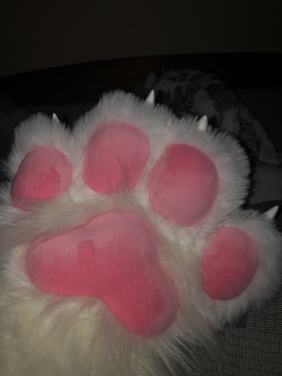 Waffle 🎀 tweet media