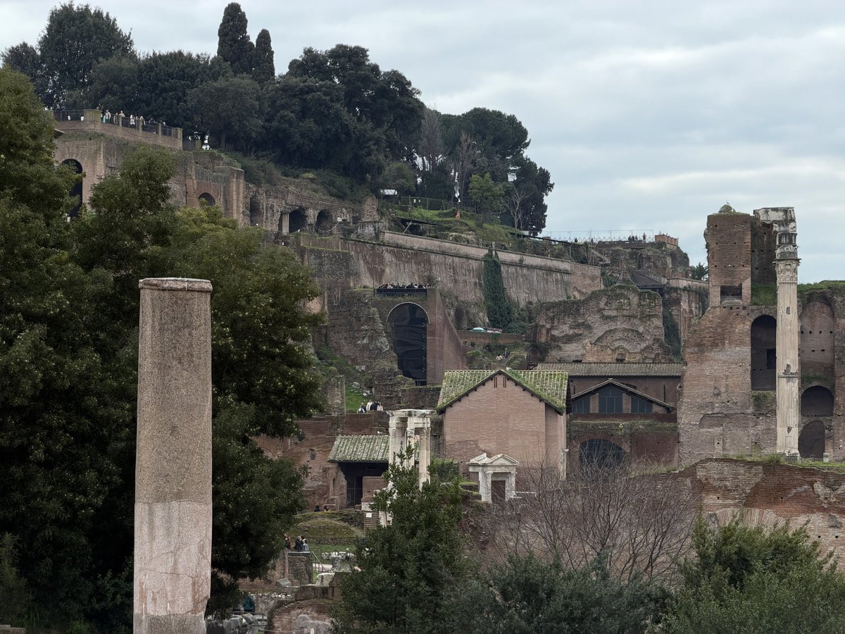 rly cool girl tweet media