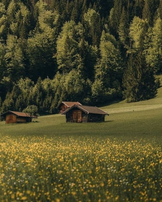 "Solitude is dangerous. It’s very addictive. It becomes a habit after you realize how peaceful and calm it is. It’s like you don’t want to deal with people anymore because they drain your energy."  

- Jim Carrey