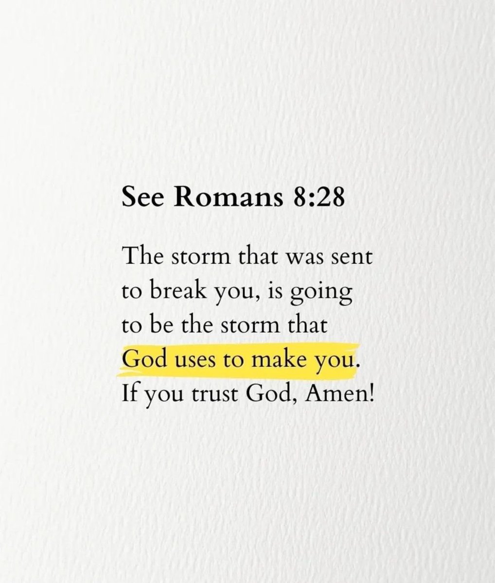 Holy Bible tweet media