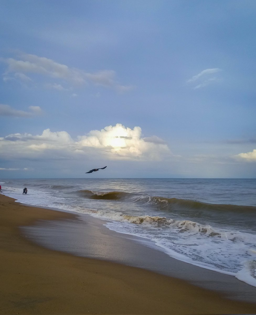 jitesh💙 tweet media