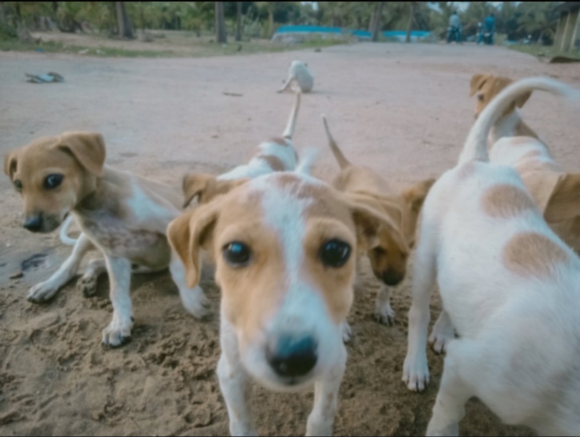 jitesh💙 tweet media