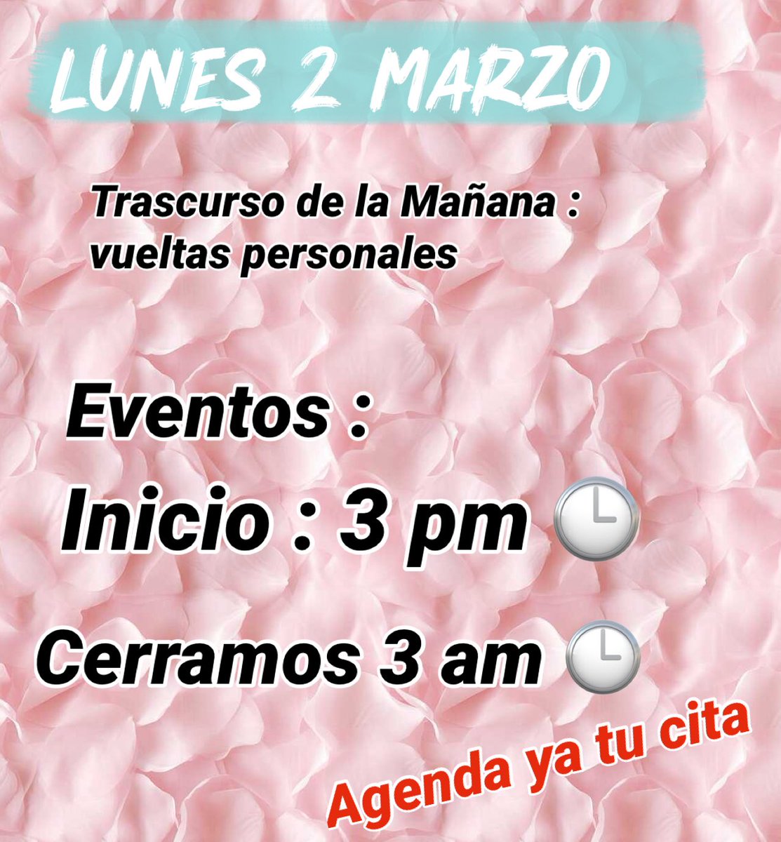 Diva🇲🇽🇻🇪Elizabeth Cardenas (Liza) (@eventosmtydiva) on Twitter photo 