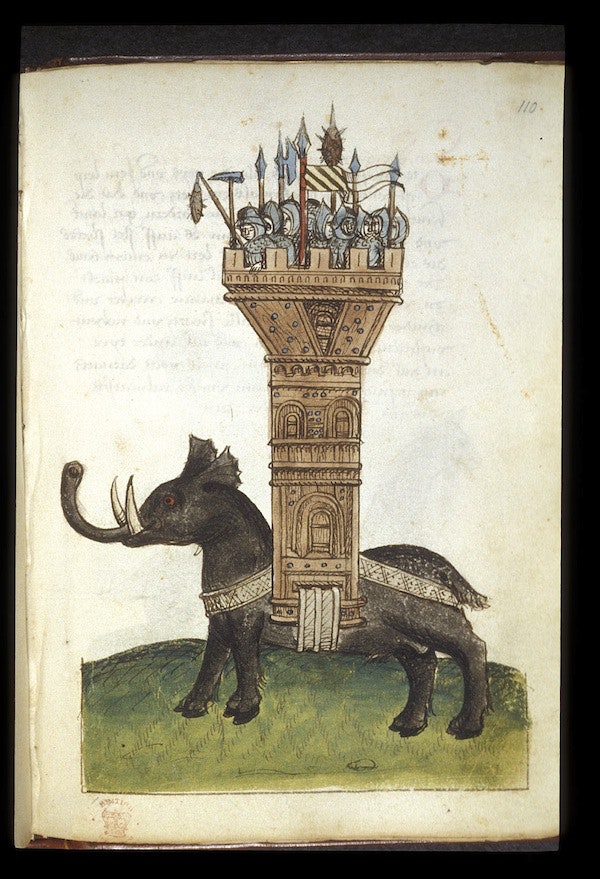 The Public Domain Review tweet media