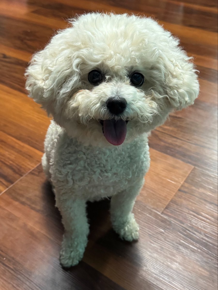 roxy_thediva's tweet photo. Happy #Monday! https://t.co/7lzQuhgQ7z