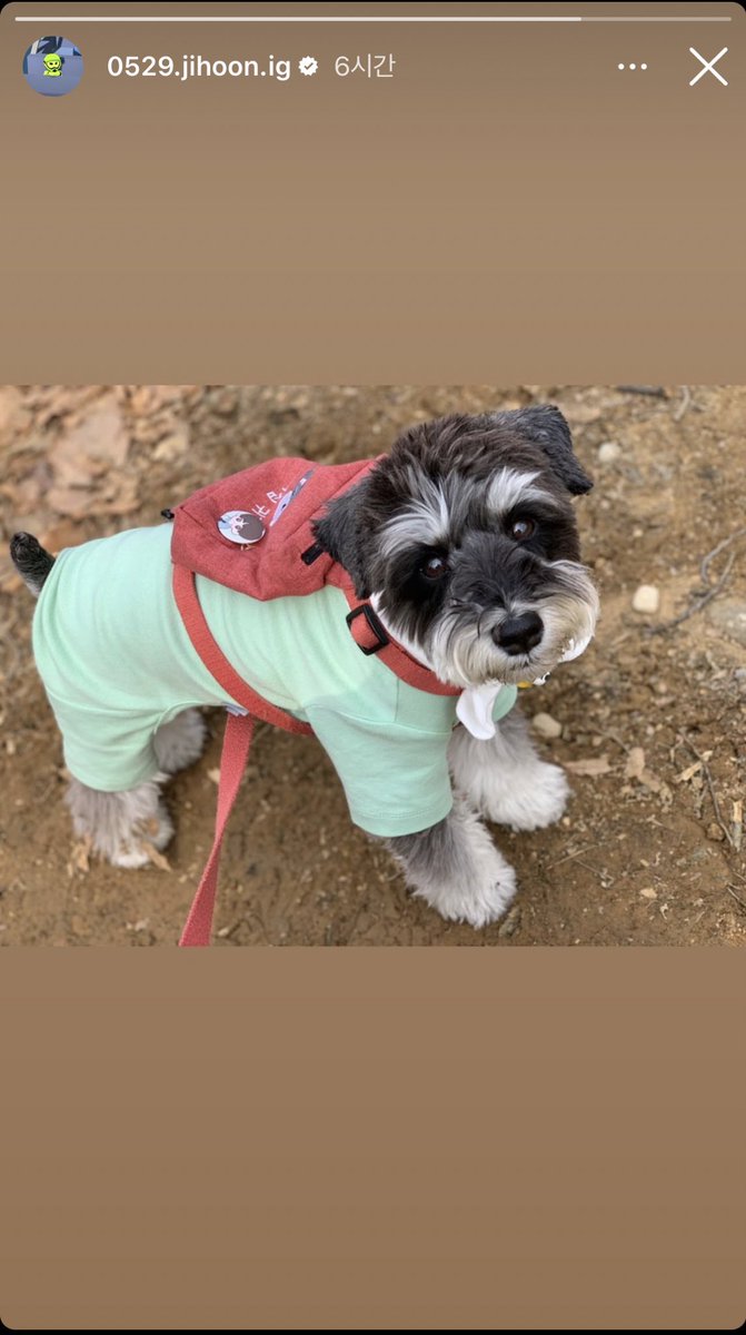 유러브 tweet media