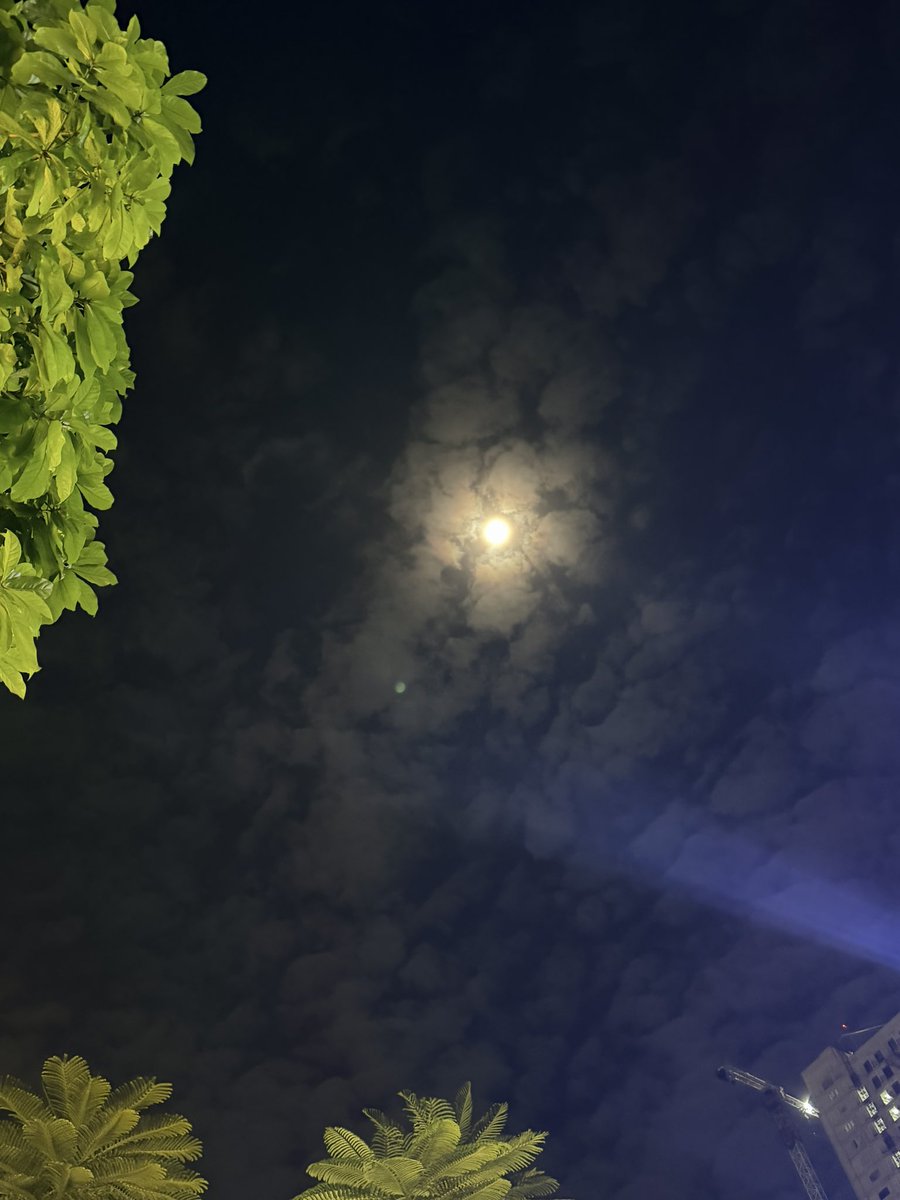 Jazzlyn Trisha tweet media