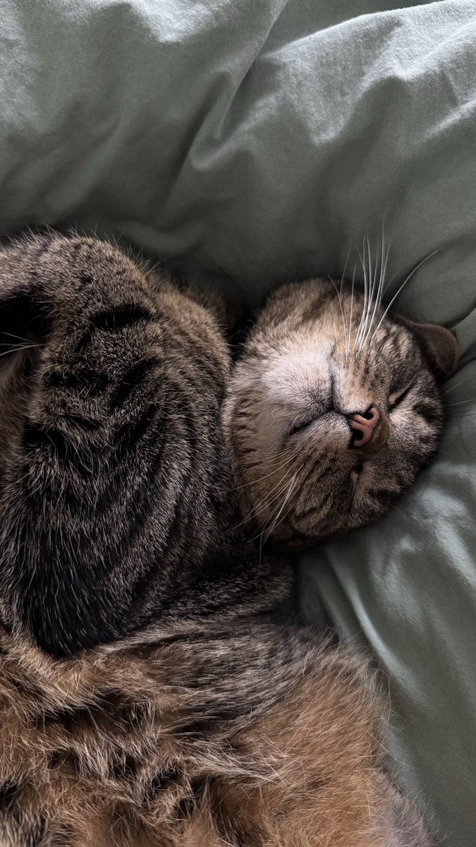 maggie✨ tweet media