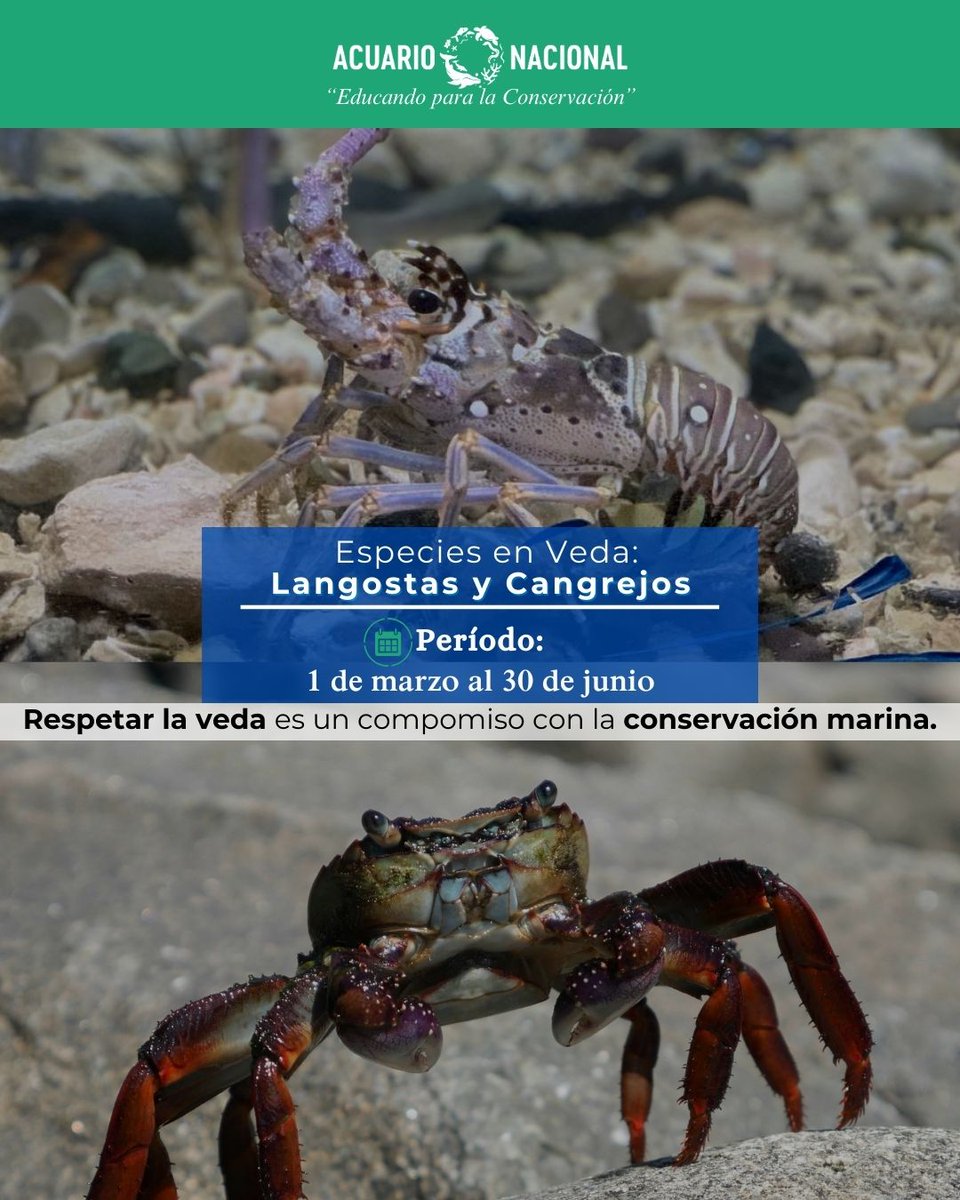 Acuario Nacional RD tweet media