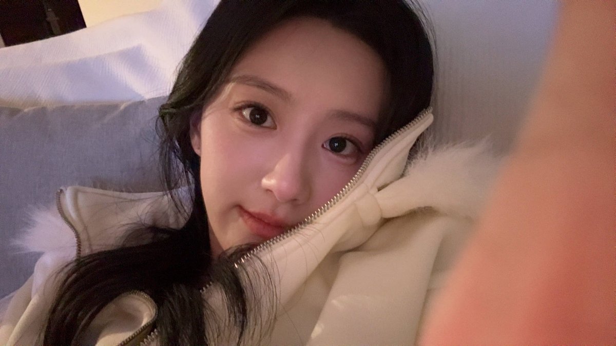 🝳包。 tweet media