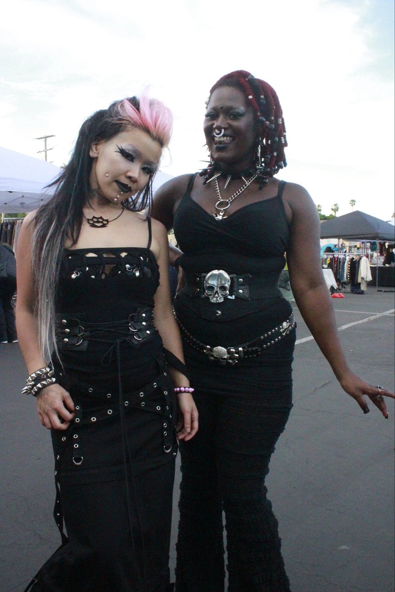 cicatrix tweet media