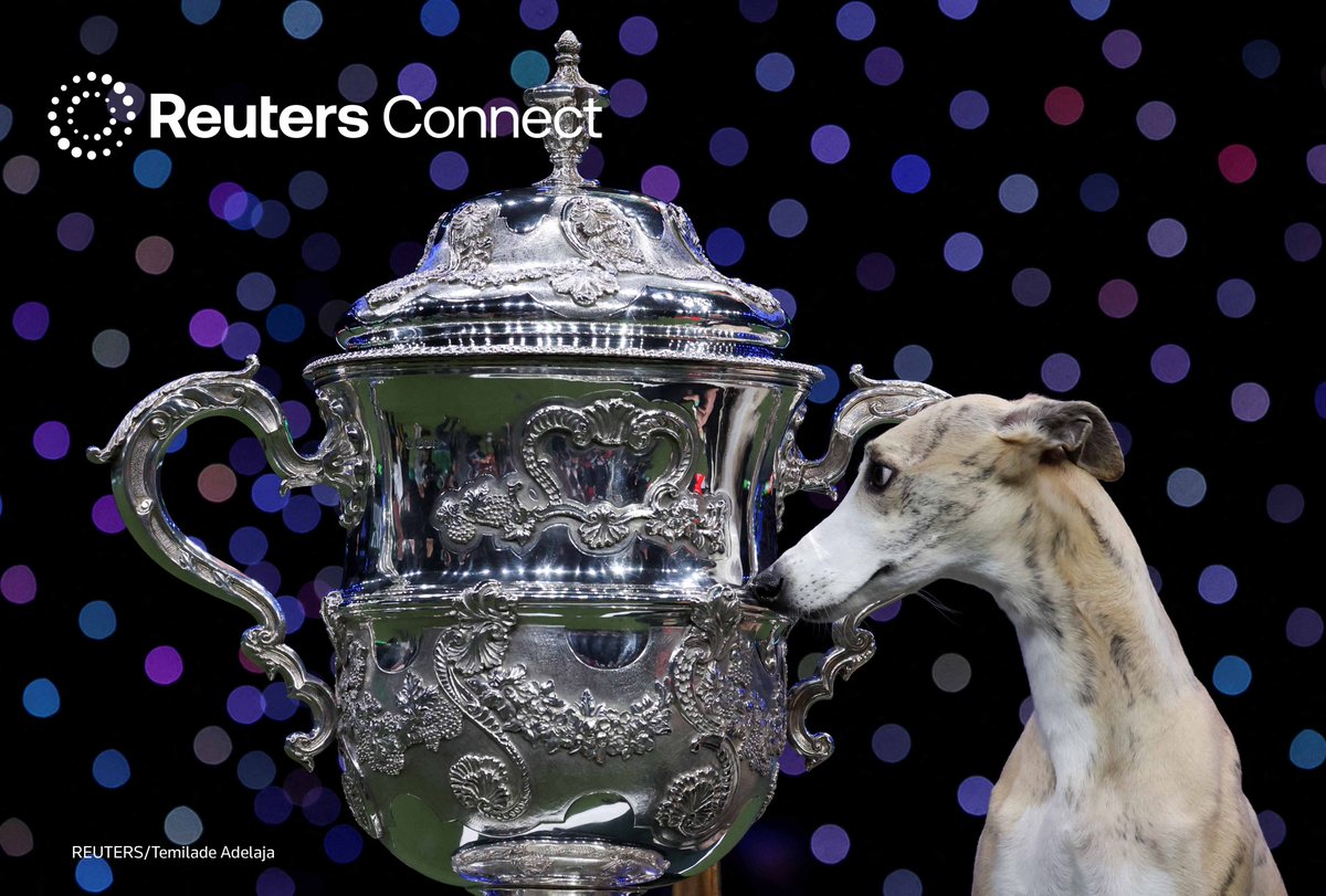 Reuters Screenocean tweet media