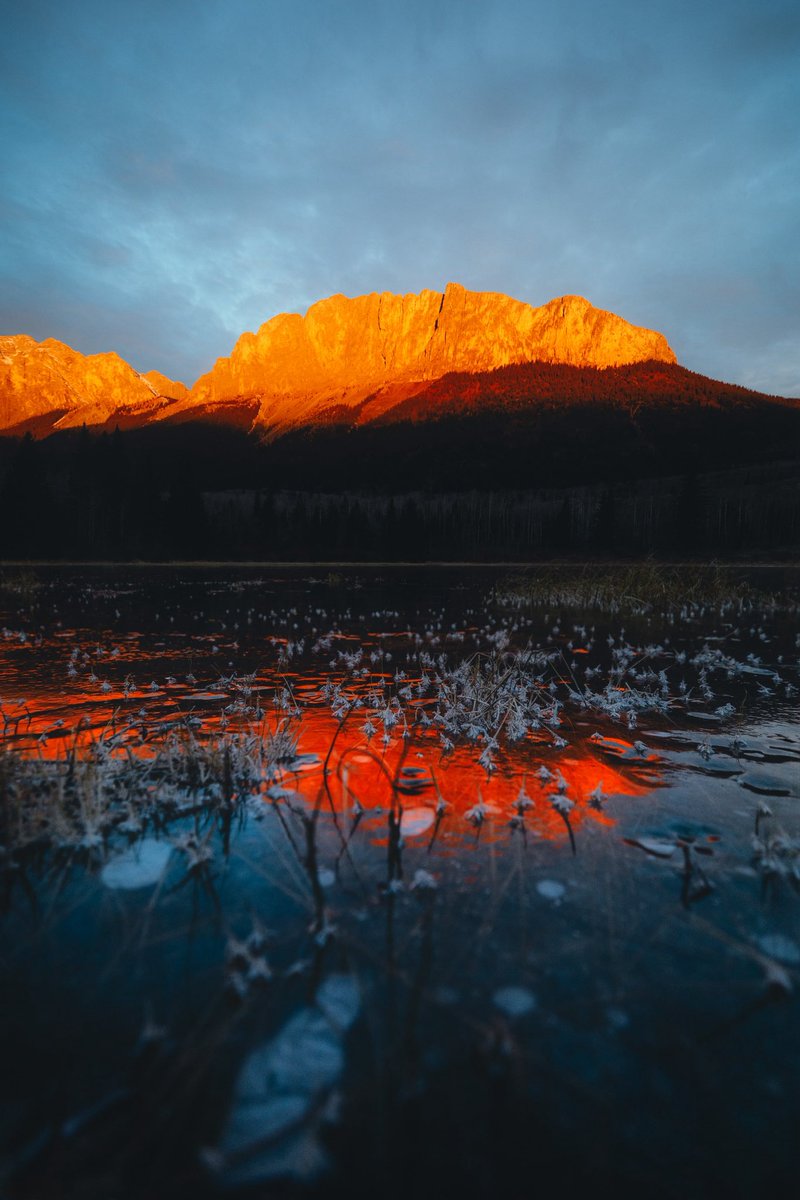 Alex Mack tweet media