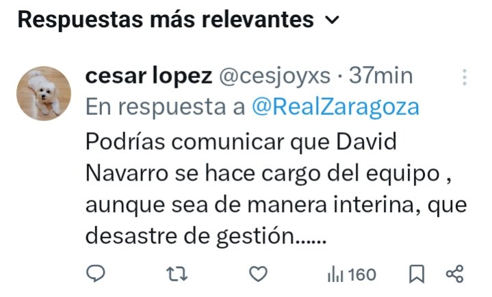 cesjoyxs's tweet photo. @RealZaragoza Asi me gusta, que hagáis caso https://t.co/rcF3rLQwt7