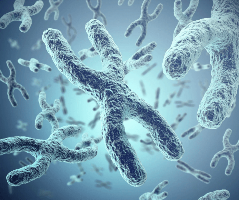 forallcurious's tweet photo. 🚨: Japanese scientists have achieved something that only a few years ago seemed like science fiction: removing the extra copy of chromosome 21 — the genetic cause of Down syndrome — in lab-grown human cells. https://t.co/jksdo2CqYZ