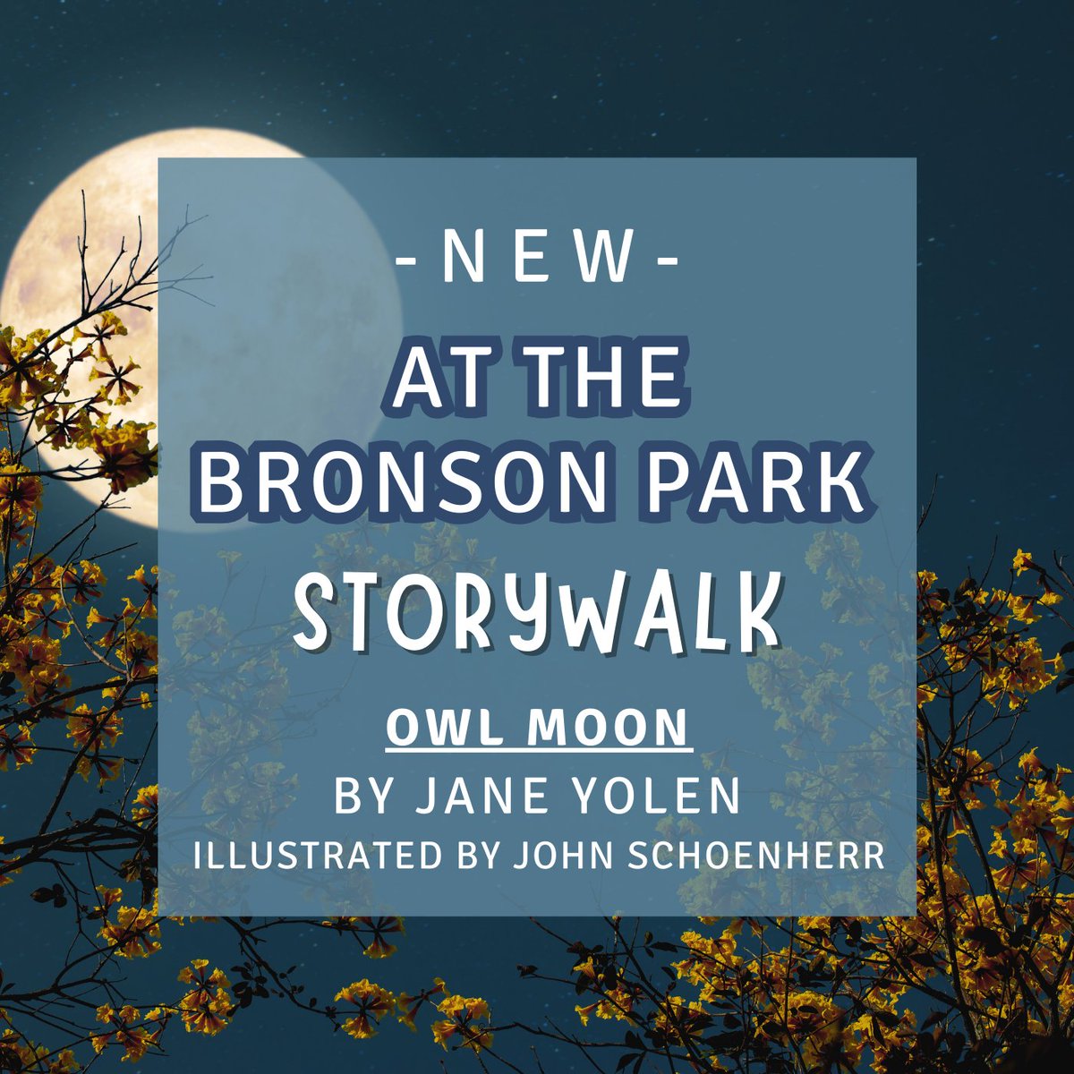 dplsLibraries tweet media