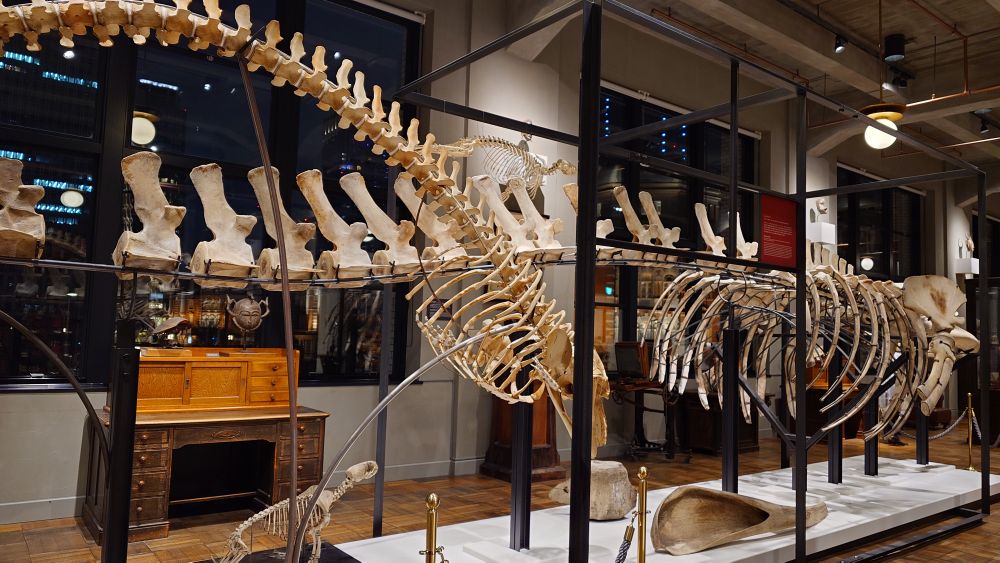 Kitteにこんな展示あるのも知らなかったしこういう情報どーやって拾えばいいんだ