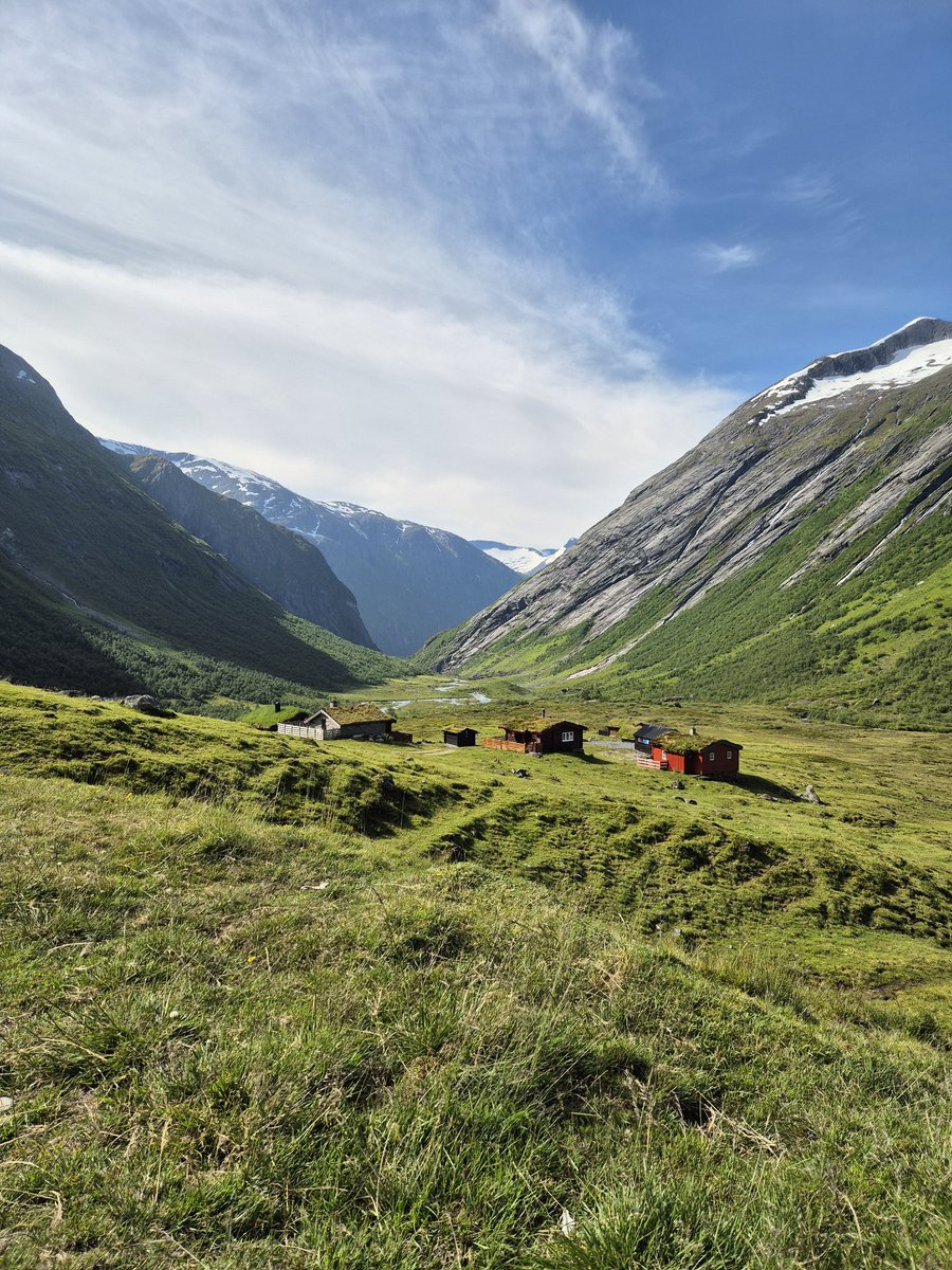 Alexander Kristensen tweet media