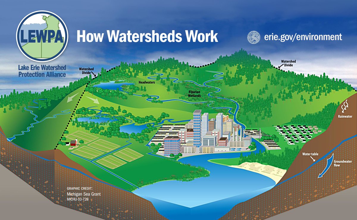 Erie County, NY tweet media