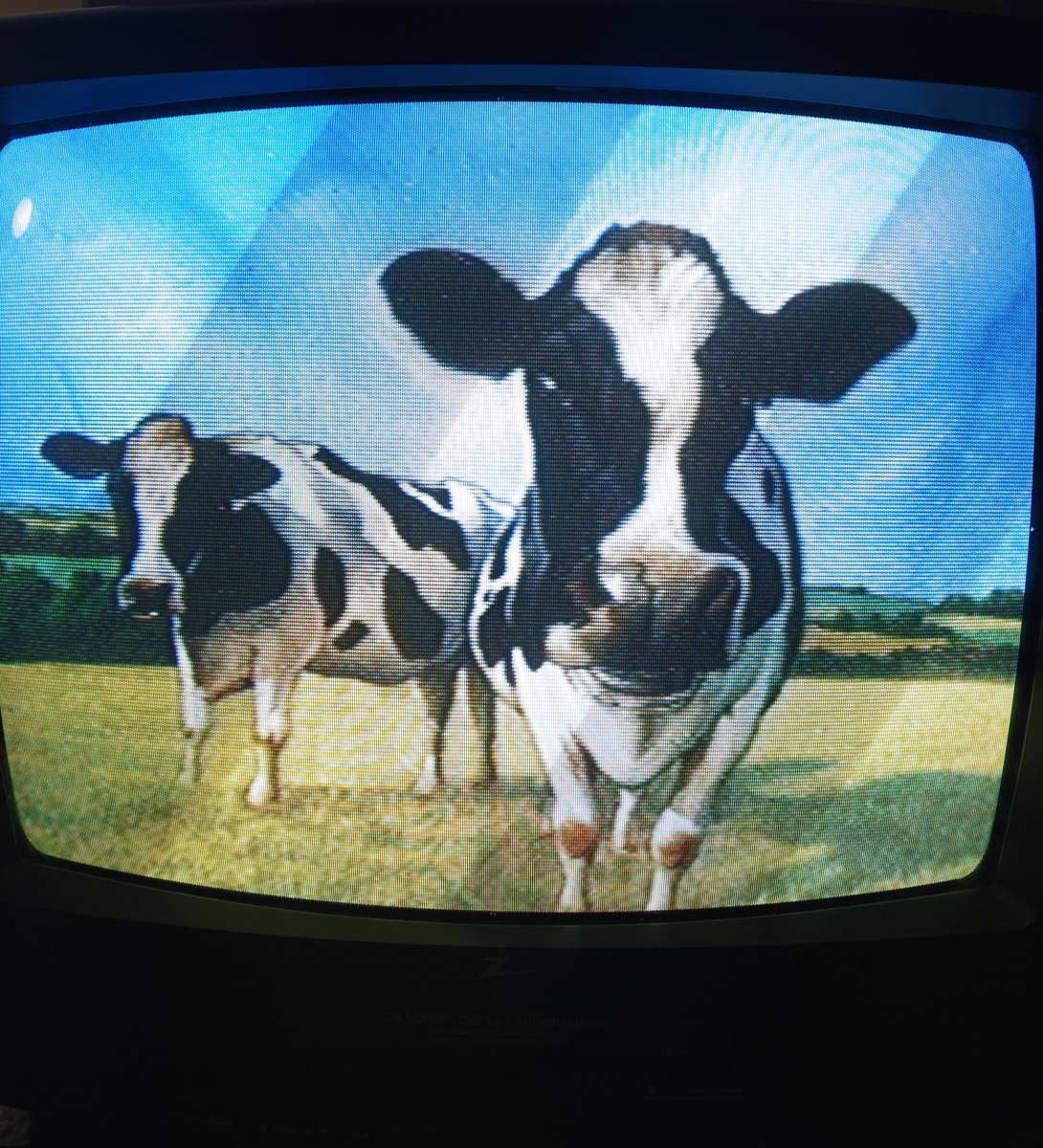 The Ghetto Gamer tweet media