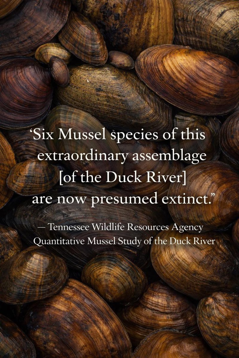 Dustin Kittle tweet media