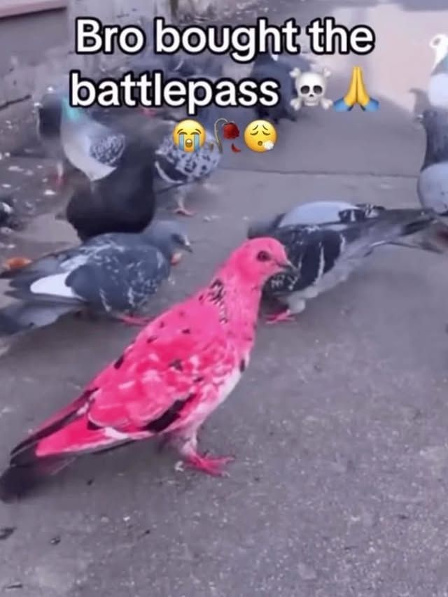 Earth Updates (@earth_updates) on Twitter photo 