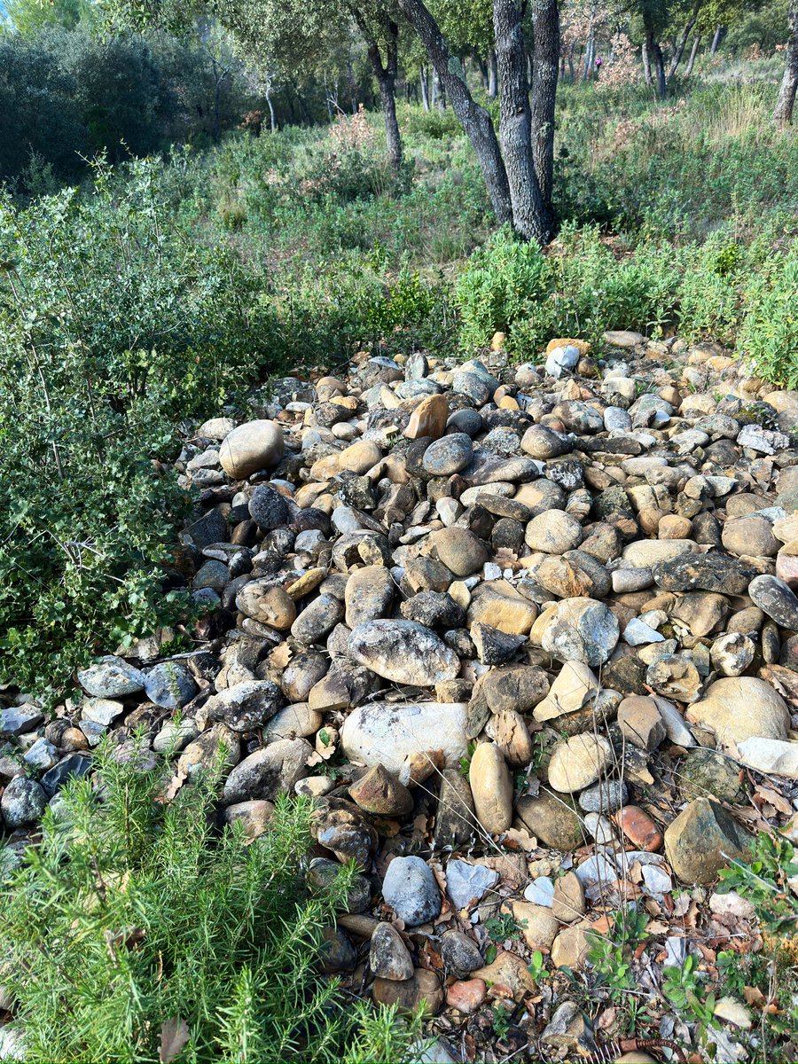 Château de Clapier tweet media