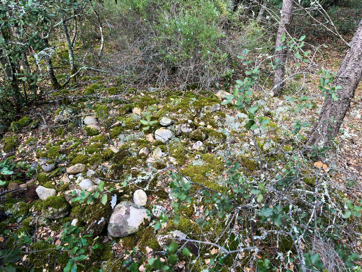 Château de Clapier tweet media