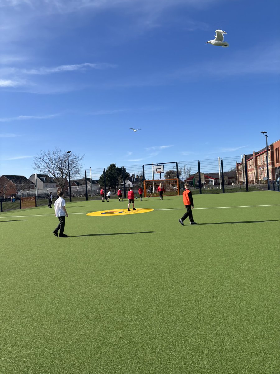 Heathfield Primary Sport tweet media