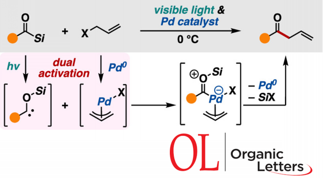 MASUDA, R. tweet media