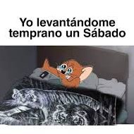 pero lpm