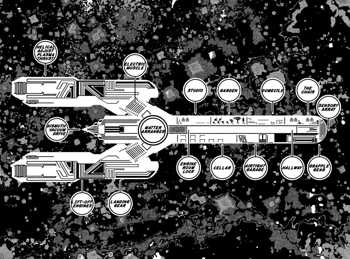 Lichen Euchella tweet media