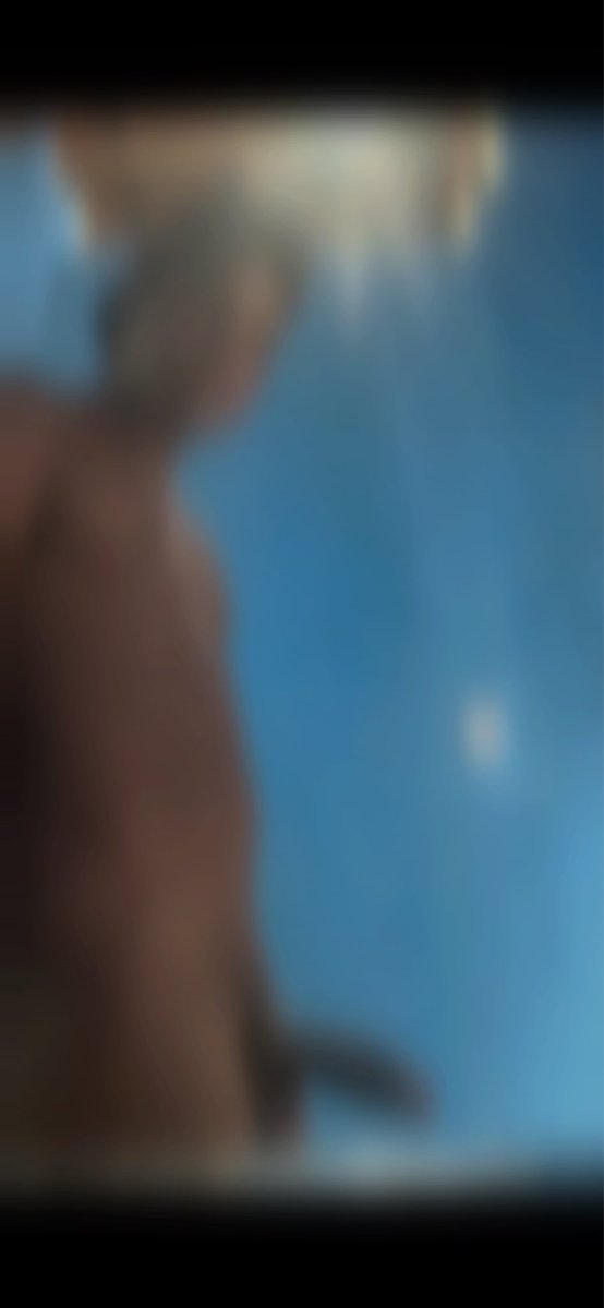 Oi quer matar sua curiosidade? 👇🏽

privacy.com.br/checkout/indio…