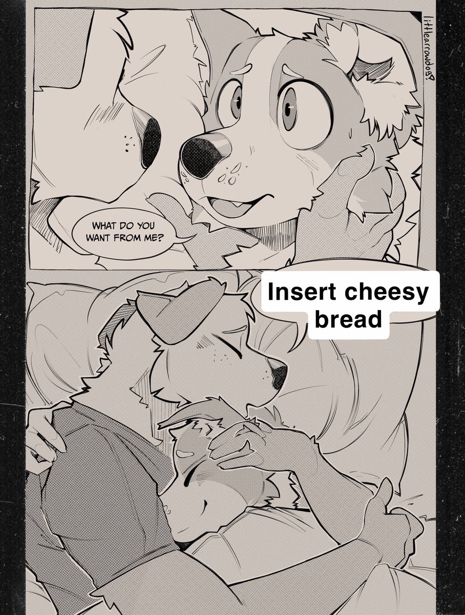 sheep 🔜 LVFC 🎲 tweet media