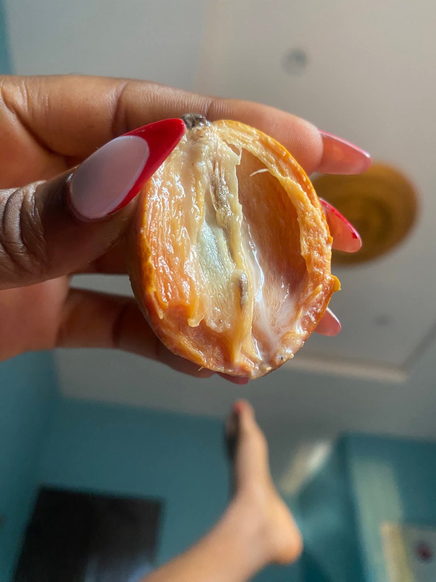 mide_io's tweet photo. I’m tired of pretending, please what is the main English name of this fruit? https://t.co/6avgFj1Smf