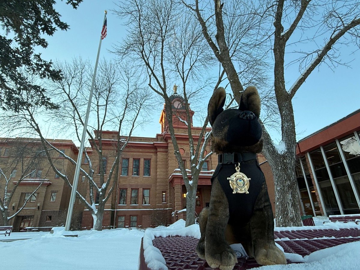 MN Sheriffs’ Association tweet media