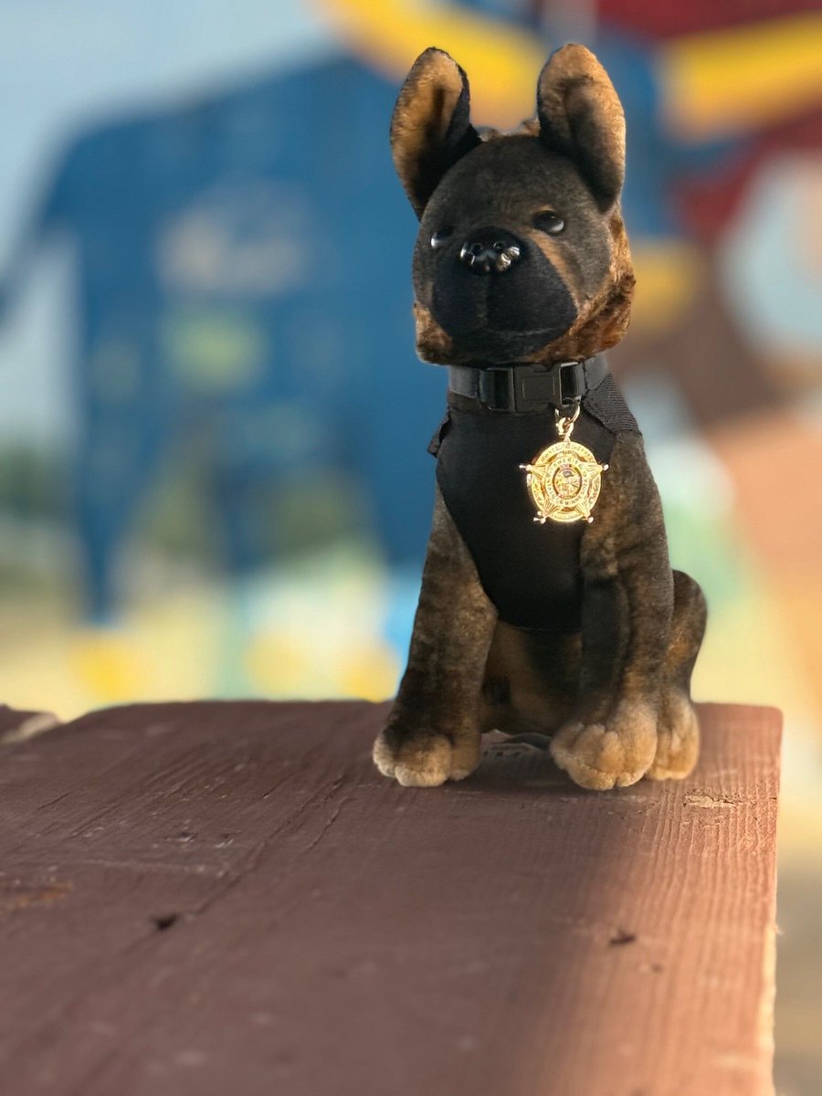 MN Sheriffs’ Association tweet media